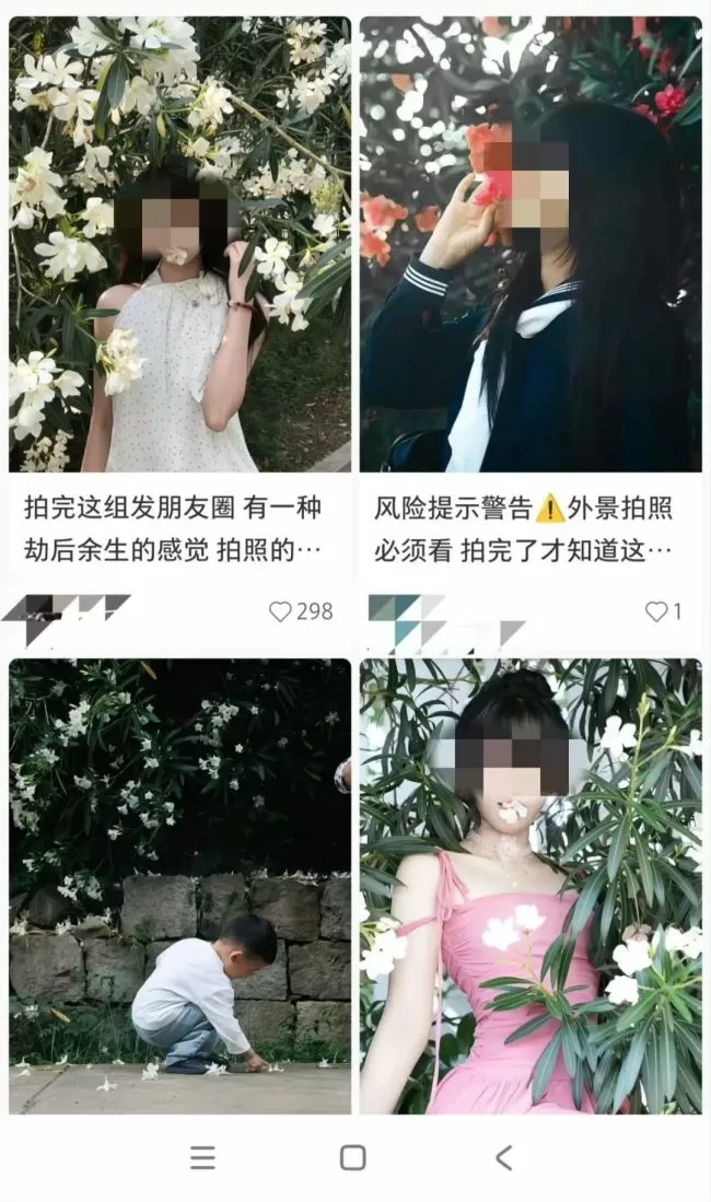 嘴含“网红花”拍照后中毒 警惕夹竹桃毒性